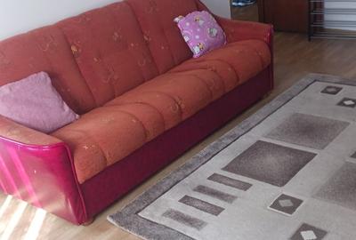 Apartament cu 2 camere semidecomandat, mobilat în Dacia - 3