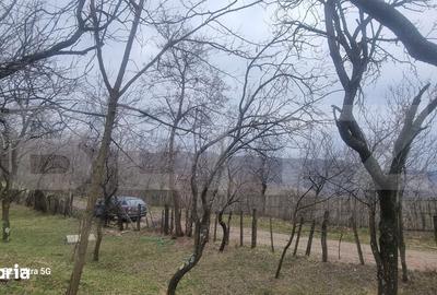 Teren de 3781 mp, în Izvoarele - 12