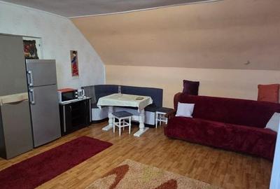 Apartament cu 2 camere semidecomandat în Central - 3