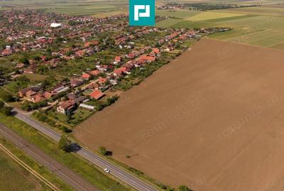 Teren de 28500 mp, în Șofronea - 2