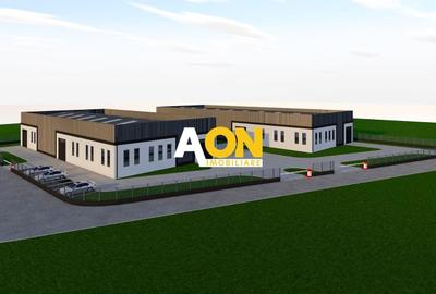 Spațiu industrial, de 1,165 mp, în Drâmbar - 7