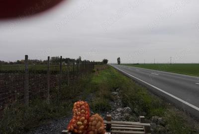 Teren de 5000 mp, în Central