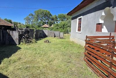 Casă cu Teren 2350 Mp în Jiana - 2