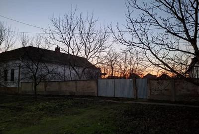 Casă cu Teren 2156 Mp în Dudeștii Vechi