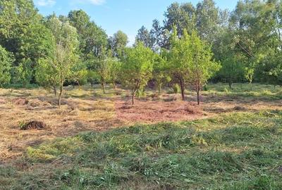 Casă individuală cu 6 camere cu Canalizare în Cornu - 35