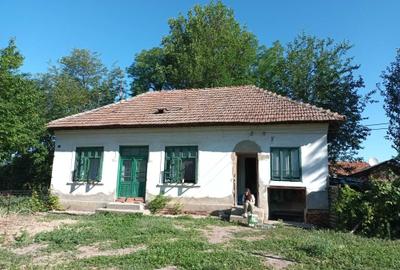 Casă cu 3 camere în Goicea