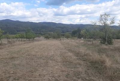 Teren de 835 mp, în Hălmagiu