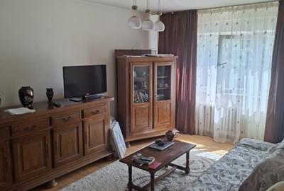 Apartament cu 2 camere decomandat în Craiovița Nouă