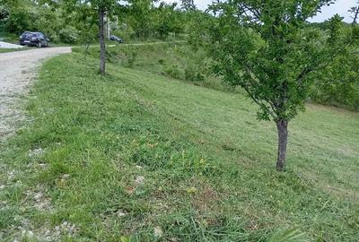 Teren de 1370 mp, în Băbana - 1