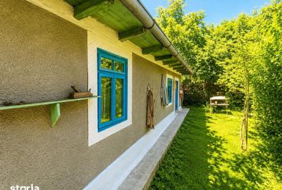 Casă cu 3 camere cu Teren 3000 Mp în Podu Roș - 8