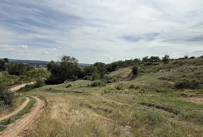 Teren de 10000 mp, în Brădești - 2