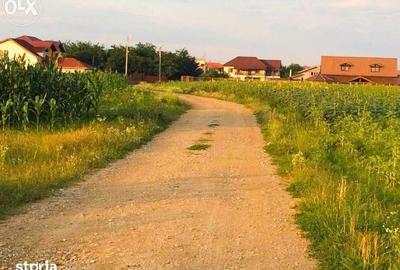 Teren de 3277 mp, în Snagov