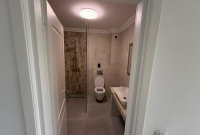 Casă cu 6 camere cu Canalizare în Iancu Nicolae - 22