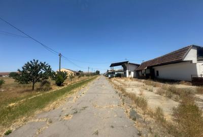 Teren Construcții intravilan de 90000 mp, în Bărăteaz - 10