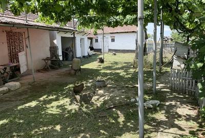 Casă cu Teren 3219 Mp în Căuașd