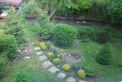 Casă cu Teren 1680 Mp în Govăjdia - 3