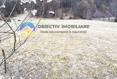 Teren intravilan de 2207 mp, în Tarcău