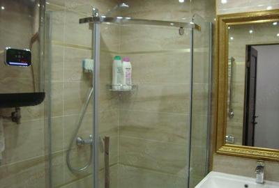 Apartament cu 2 camere decomandat în Doamna Ghica - 2