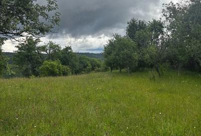 Teren de 30 mp, în Preluca Veche - 7