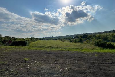 Teren Construcții de 8000 mp, în Daia Nouă - 3