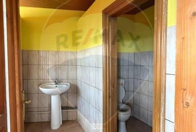 Casă individuală cu 5 camere cu Teren 1513 Mp în Câmpineanca - 7