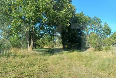 Casă cu 3 camere cu Teren 7600 Mp în Central - 7