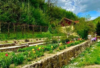 Teren pentru investitii 11.000 mp - 22