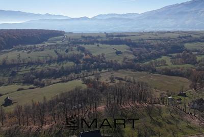 Teren extravilan de 4000 mp, în Sadu - 2