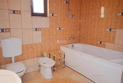 Proprietate de inchiriat: casa Parter + Etaj, Bucium - 14