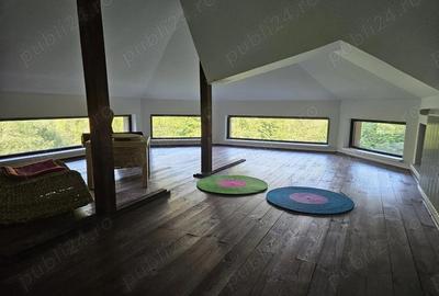 Casă cu 5 camere cu Teren 6842 Mp în Brădetu - 18