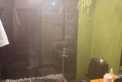 Apartament cu 4 camere decomandat, mobilat în Băneasa - 7