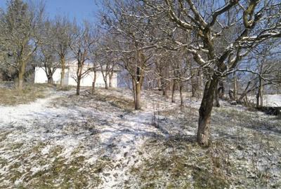 Teren de 5950 mp, în Scorțeni - 16