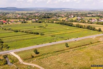 Teren extravilan Lunca Calnicului langa E574 - 2
