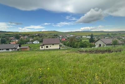 Spațiu comercial, în Herghelia - 6