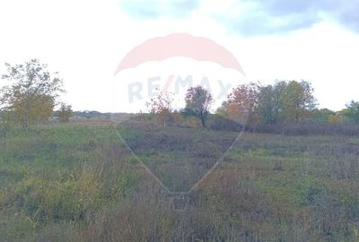 Teren Construcții intravilan de 2056 mp, în Ciolpani - 8