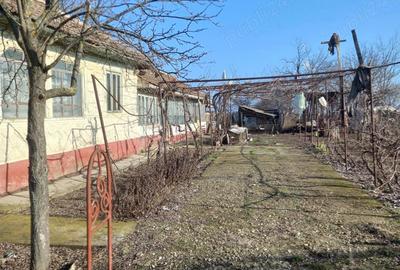 Casă cu 6 camere în Căldărușeanca - 4
