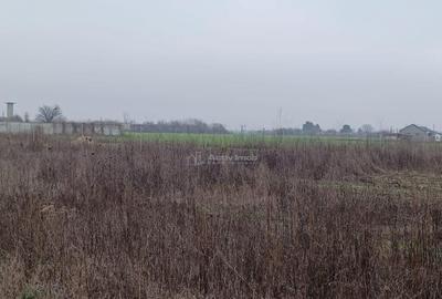 Teren Corbeanca- Strada Trei Lacuri - 20