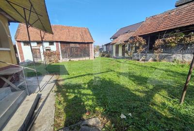 Casa familiala cu anexe gospoadaresti si teren in suprafata - 9
