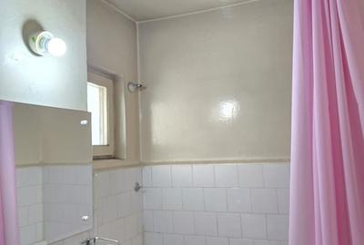Apartament cu 3 camere semidecomandat în Gorjului - 10
