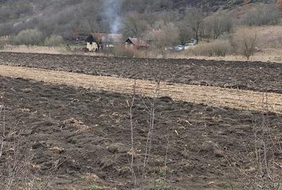 Teren agricol extravilan de 1300 mp, în Giula - 3