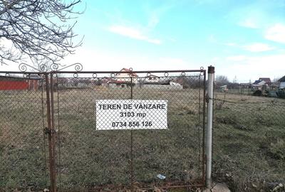 Teren Construcții intravilan de 3103 mp, în Becicherecu Mic - 1
