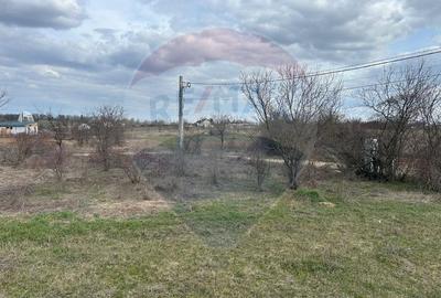 Teren Construcții intravilan de 700 mp, în Izvorani - 7