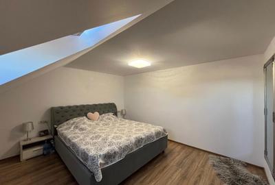 Apartament cu 2 camere decomandat în Biled - 8