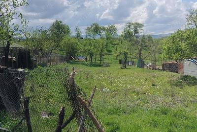 Casă cu 4 camere cu Teren 1032 Mp în Târnova - 4