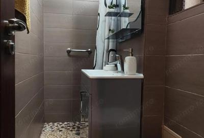 Apartament cu 4 camere decomandat în Calea Aradului - 4