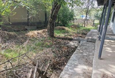 Casă cu 3 camere cu Teren 1400 Mp în Mihai Viteazu - 4