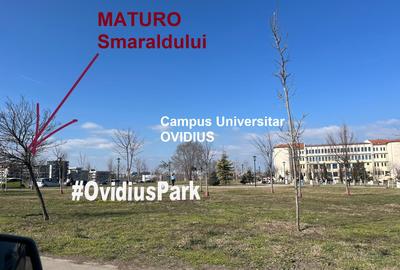 Apartament cu 2 camere decomandat în Tomis Nord