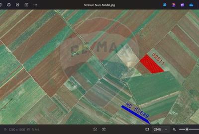 Teren 9,400 mp intravilan Nuci Ilfov - 1