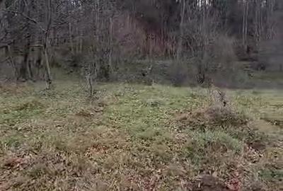 Teren de 3000 mp, în Văliug - 1