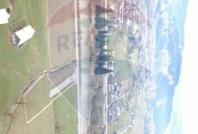 Teren Construcții intravilan de 7834 mp, în Dorna-Arini - 4